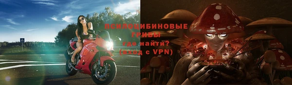 герыч Новодвинск